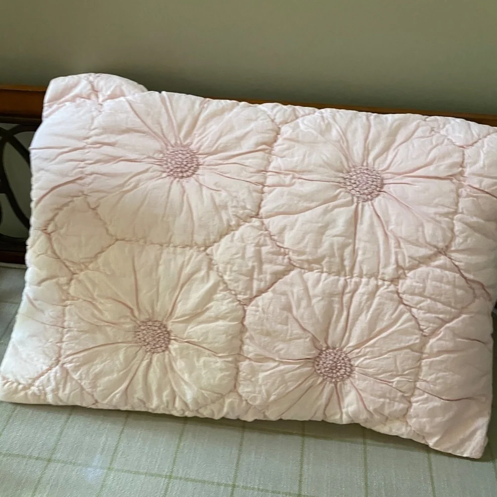 Anthropologie Pink Embroidered Standard Sham